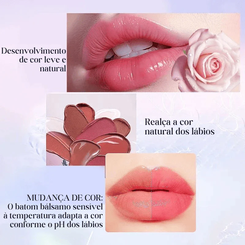 Imagem do produto 5